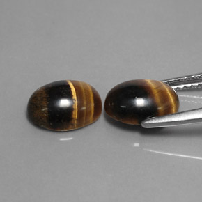 天然棕色Tiger's Eye，椭圆形切割，8.8×6.8毫米，不透明