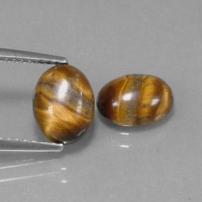 天然棕色Tiger's Eye，椭圆形切割，8.9×6.8毫米，不透明