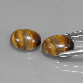 天然棕色Tiger's Eye，椭圆形切割，8.9×6.8毫米，不透明
