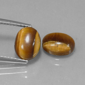 天然棕色Tiger's Eye，椭圆形切割，8.9×6.9毫米，不透明