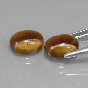 天然棕色Tiger's Eye，椭圆形切割，8.9×6.9毫米，不透明
