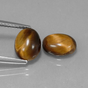 1.59克拉天然棕色Tiger's Eye，椭圆形切割，8.7×6.8毫米，不透明