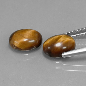 1.59克拉天然棕色Tiger's Eye，椭圆形切割，8.7×6.8毫米，不透明