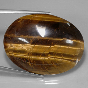 73.05克拉天然棕色Tiger's Eye，椭圆形切割，39.8×24.1毫米，不透明