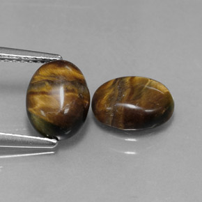 天然棕色Tiger's Eye，椭圆形切割，8.8×6.8毫米，不透明