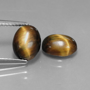 天然棕色Tiger's Eye，椭圆形切割，8.8×6.8毫米，不透明