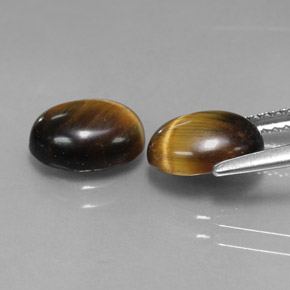 天然棕色Tiger's Eye，椭圆形切割，8.8×6.8毫米，不透明