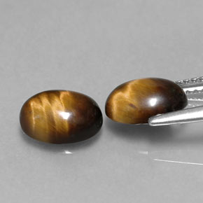天然棕色Tiger's Eye，椭圆形切割，8.7×6.8毫米，不透明