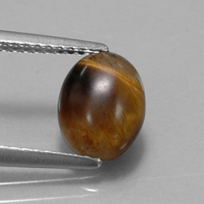 1.55克拉天然棕色Tiger's Eye，椭圆形切割，8.8×6.8毫米，不透明