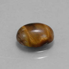 1.55克拉天然棕色Tiger's Eye，椭圆形切割，8.8×6.8毫米，不透明