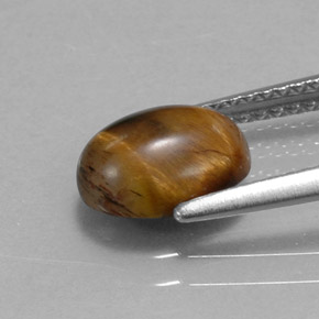 1.55克拉天然棕色Tiger's Eye，椭圆形切割，8.8×6.8毫米，不透明