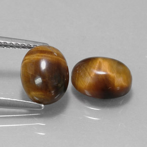 天然棕色Tiger's Eye，椭圆形切割，9.1×7毫米，不透明