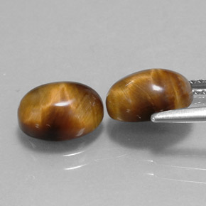 天然棕色Tiger's Eye，椭圆形切割，9.1×7毫米，不透明