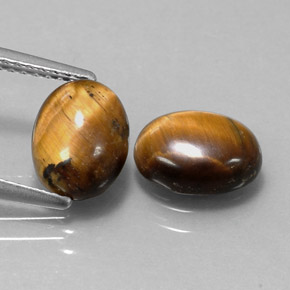 天然棕色Tiger's Eye，椭圆形切割，9×7毫米，不透明