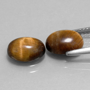 天然棕色Tiger's Eye，椭圆形切割，8.7×6.7毫米，不透明