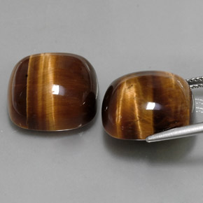 天然棕色Tiger's Eye，垫形剪裁，15.2×15.1毫米，不透明