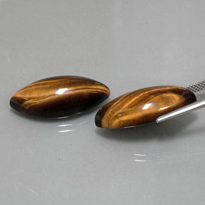 天然棕色Tiger's Eye，马眼形，24.9×12.1毫米，不透明