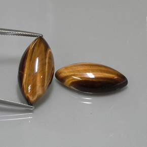天然棕色Tiger's Eye，马眼形，24.8×12.1毫米，不透明