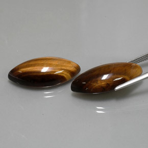 天然棕色Tiger's Eye，马眼形，24.8×12.1毫米，不透明