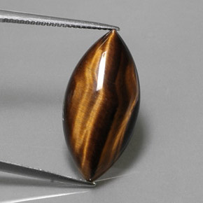 13.03克拉天然棕色Tiger's Eye，马眼形，24.8×12.1毫米，不透明