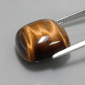 13.79克拉天然棕色Tiger's Eye，垫形剪裁，15.1×15.1毫米，不透明