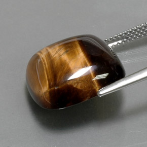 13.05克拉天然虎眼石，垫形剪裁，不透明