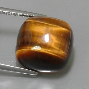 13.02克拉天然棕色Tiger's Eye，垫形剪裁，15.1×15.1毫米，不透明