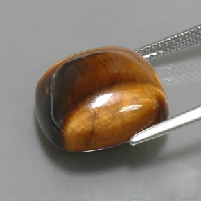 13.02克拉天然棕色Tiger's Eye，垫形剪裁，15.1×15.1毫米，不透明
