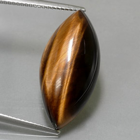 12.99克拉天然棕色Tiger's Eye，马眼形，24.8×12毫米，不透明