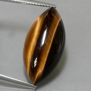 13.60克拉天然棕色Tiger's Eye，马眼形，25×12.2毫米，不透明