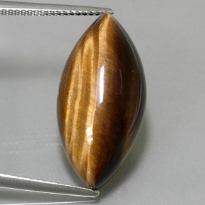 12.55克拉天然棕色Tiger's Eye，马眼形，24.4×11.8毫米，不透明