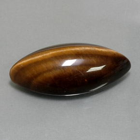12.55克拉天然棕色Tiger's Eye，马眼形，24.4×11.8毫米，不透明