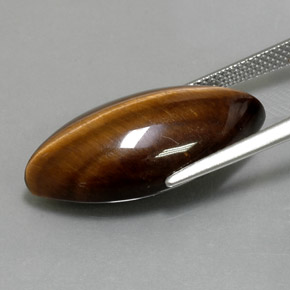 12.55克拉天然棕色Tiger's Eye，马眼形，24.4×11.8毫米，不透明