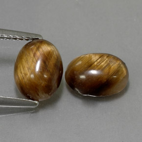 天然棕色Tiger's Eye，椭圆形切割，8.8×6.8毫米，不透明
