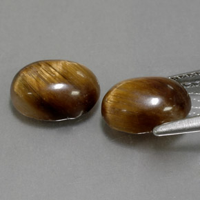 天然棕色Tiger's Eye，椭圆形切割，8.8×6.8毫米，不透明