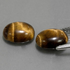 天然棕色Tiger's Eye，椭圆形切割，8.9×6.9毫米，不透明