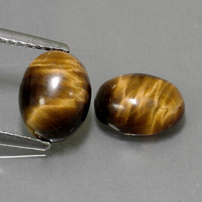 天然棕色Tiger's Eye，椭圆形切割，8.8×6.8毫米，不透明