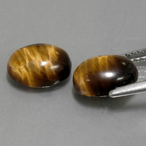 天然棕色Tiger's Eye，椭圆形切割，8.8×6.8毫米，不透明