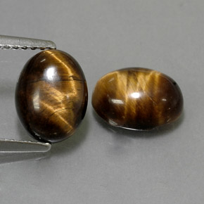 天然棕色Tiger's Eye，椭圆形切割，8.9×7毫米，不透明