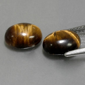 天然棕色Tiger's Eye，椭圆形切割，8.9×7毫米，不透明