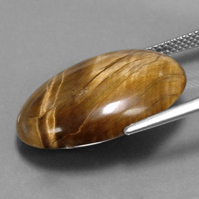 17.34克拉天然棕色Tiger's Eye，椭圆形切割，22.6×15.6毫米，不透明
