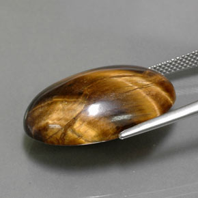 23.72克拉天然棕色Tiger's Eye，椭圆形切割，23.8×16.3毫米，不透明
