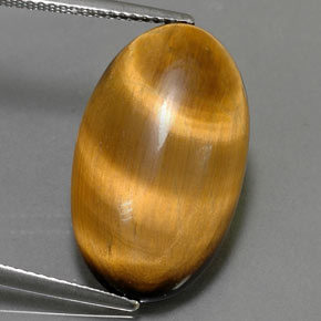 11.94克拉天然棕色Tiger's Eye，椭圆形切割，22.3×13.3毫米，不透明