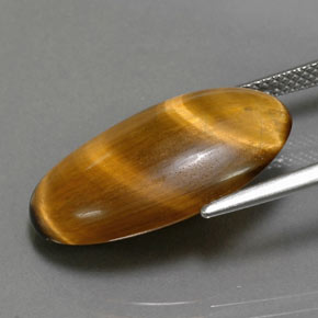 11.94克拉天然棕色Tiger's Eye，椭圆形切割，22.3×13.3毫米，不透明
