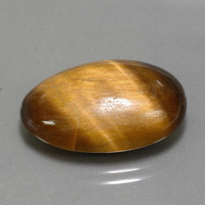 13.32克拉天然棕色Tiger's Eye，椭圆形切割，20.8×13.8毫米，不透明