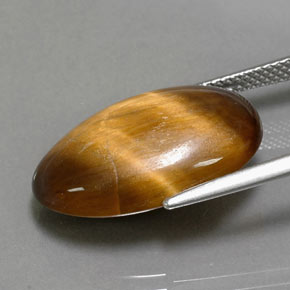 13.32克拉天然棕色Tiger's Eye，椭圆形切割，20.8×13.8毫米，不透明