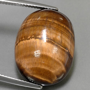 24.80克拉天然棕色Tiger's Eye，椭圆形切割，21.7×16.8毫米，不透明