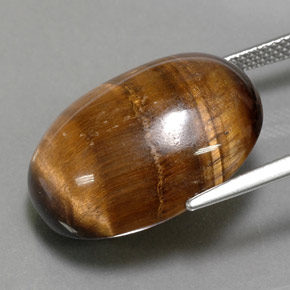 24.80克拉天然棕色Tiger's Eye，椭圆形切割，21.7×16.8毫米，不透明