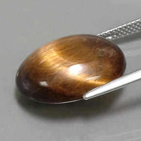 14.06克拉天然虎眼石，椭圆形切割，不透明