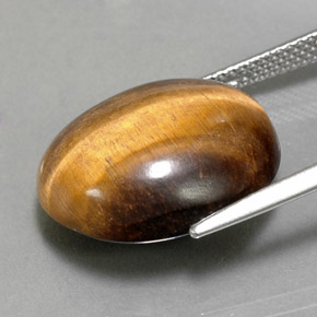 14.18克拉天然棕色Tiger's Eye，椭圆形切割，17.9×15.3毫米，不透明
